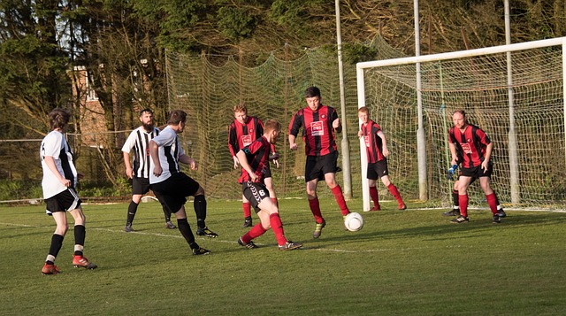 阿拉维斯可 阿拉维斯可