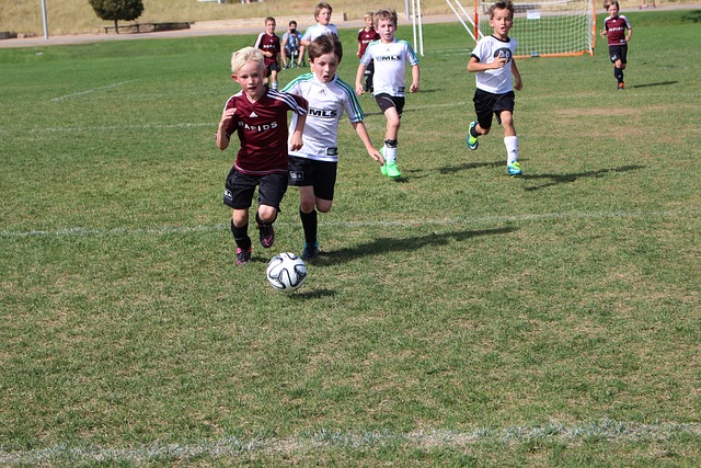 当名将被安 当名将被安