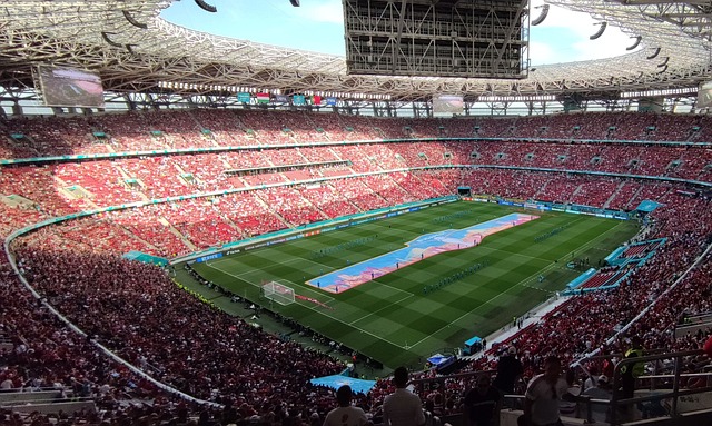 这位球员的 这位球员的